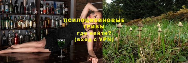 дурь Алексеевка