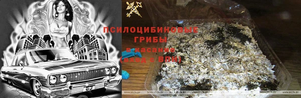 хмурый Абаза