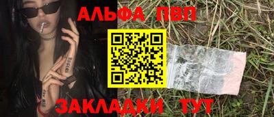 амф Кингисепп