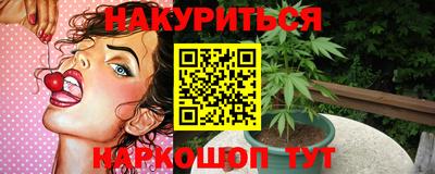 амф Кингисепп