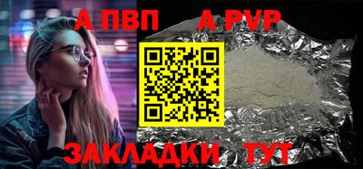 амф Кингисепп