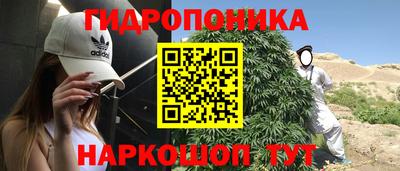 spice Кинель