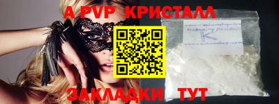 амф Кингисепп
