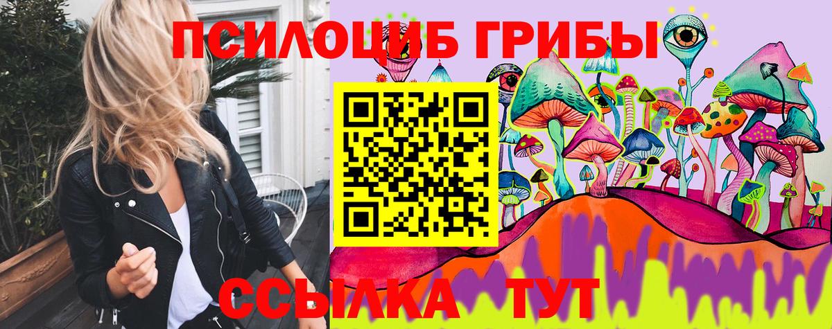Керчь  Галлюциногенные грибы Psilocybine cubensis  закладки  Вход с VPN 